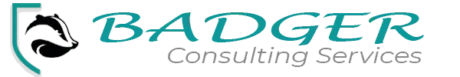 Badger Consulting Services
